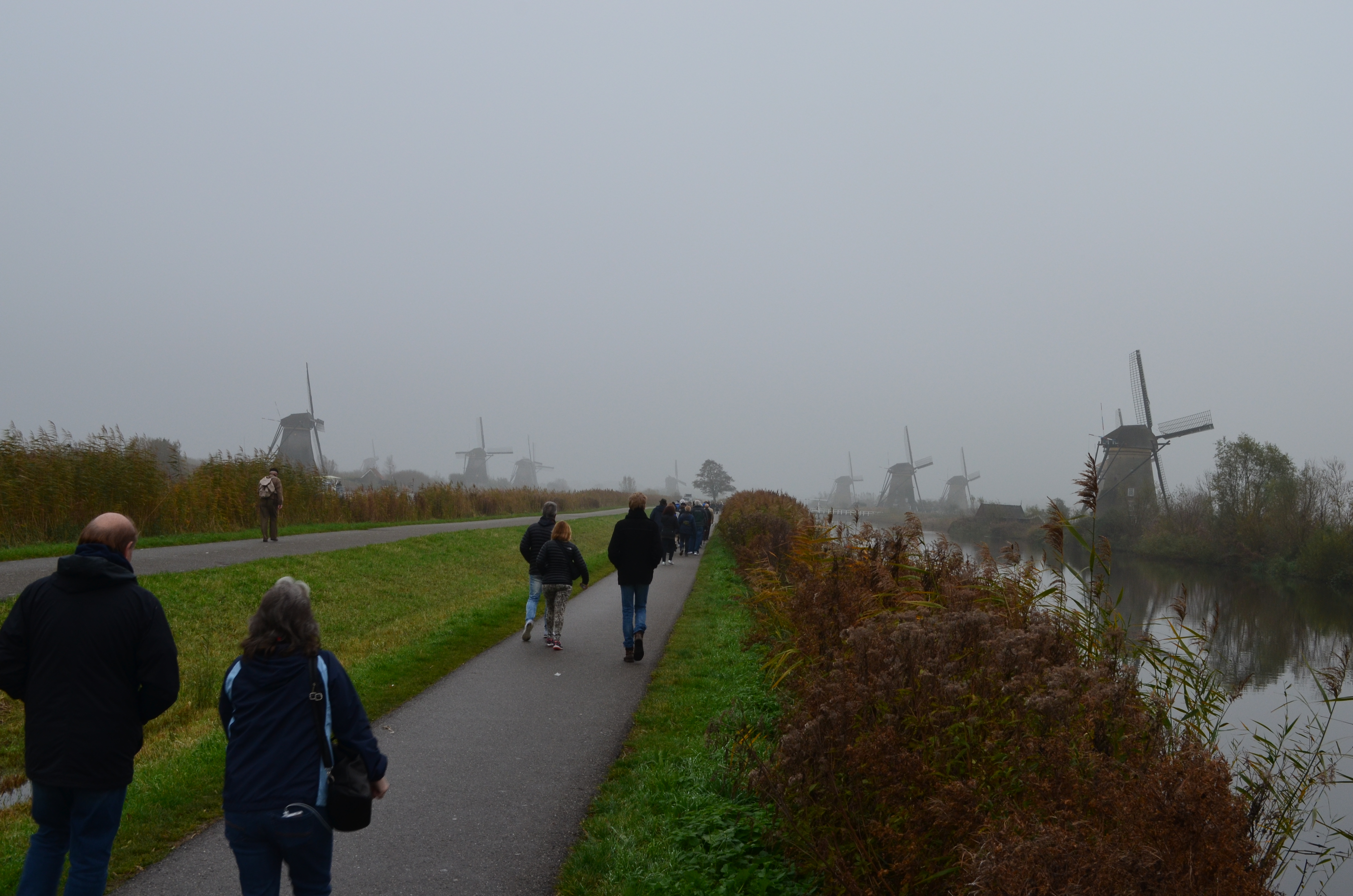 ./2017/19 - Viking Lif/12 - Kinderdijk, The Netherlands/DSC_0268.JPG